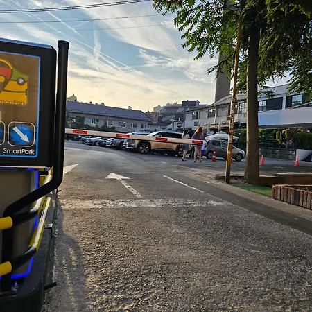 Hostgost Selected - Skadarlija Artisan Apartament